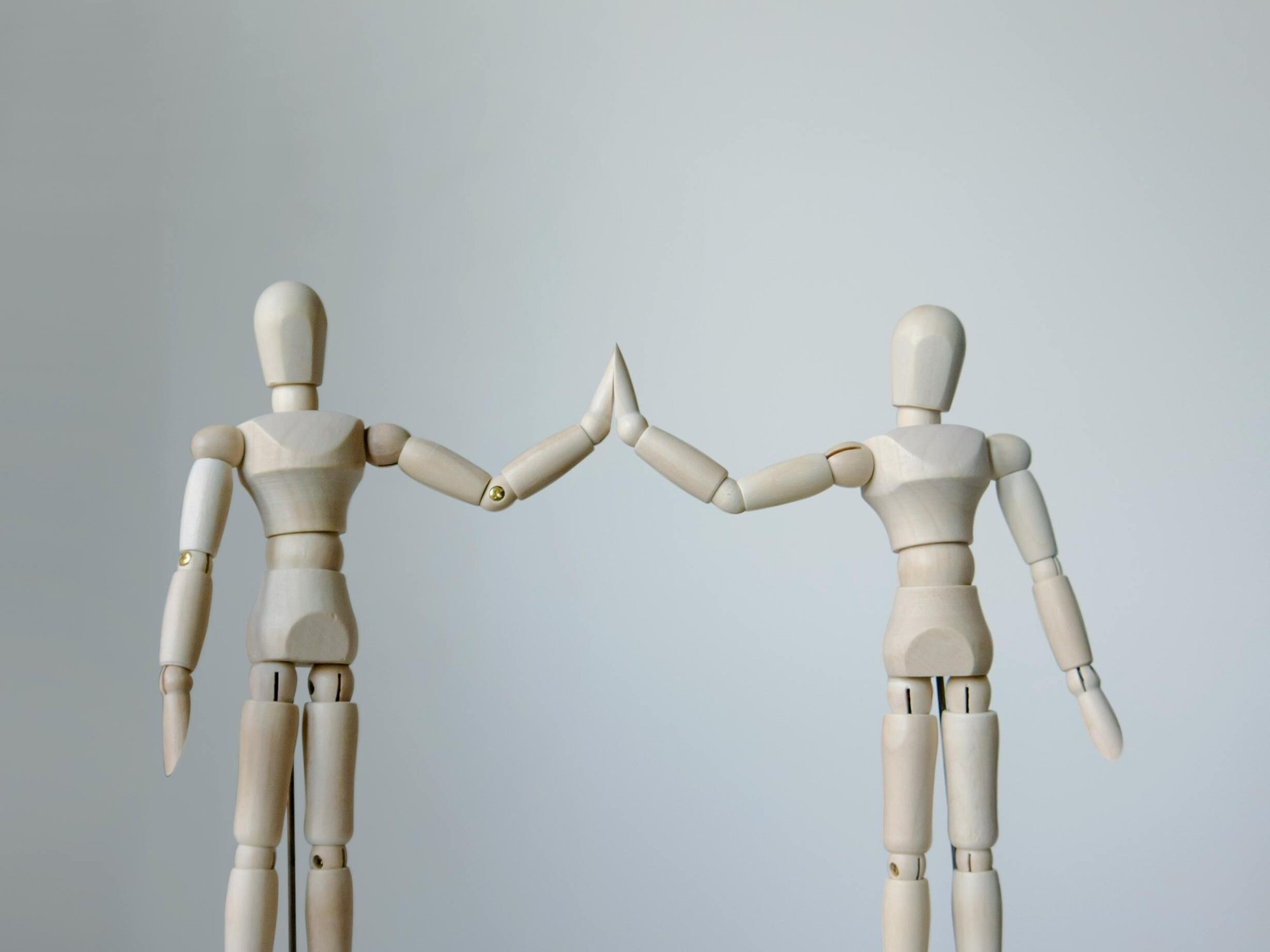 pexels-plantsandgraphics-8175930 pexels-plantsandgraphics-8175930